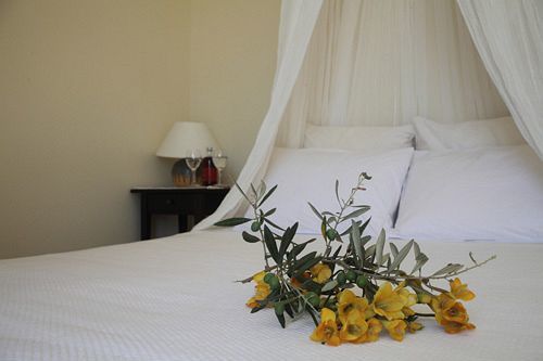 Urania Luxury Villas Pondi Eksteriør bilde